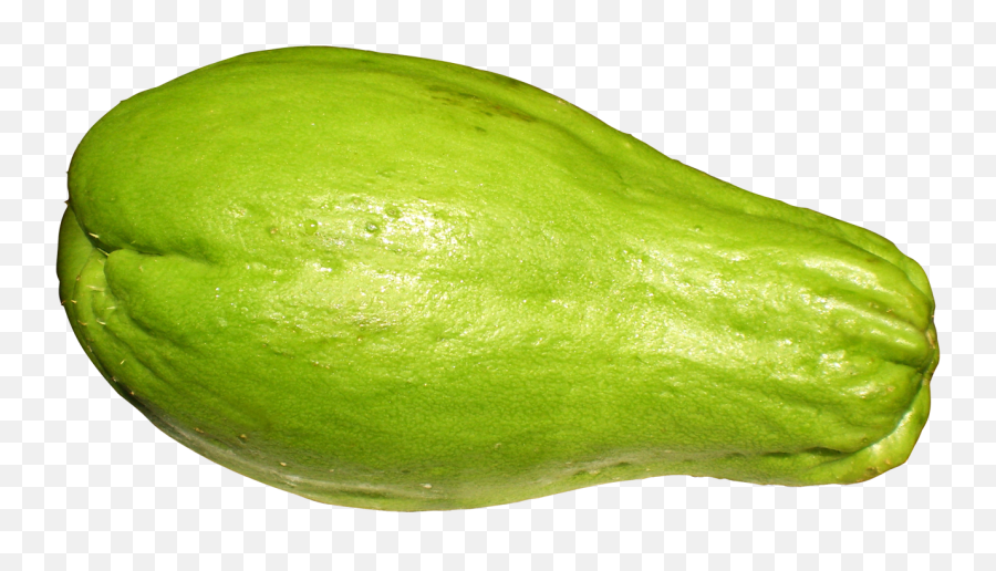 Chayote Png Image For Free Download - Png Chayote,Gourd Png
