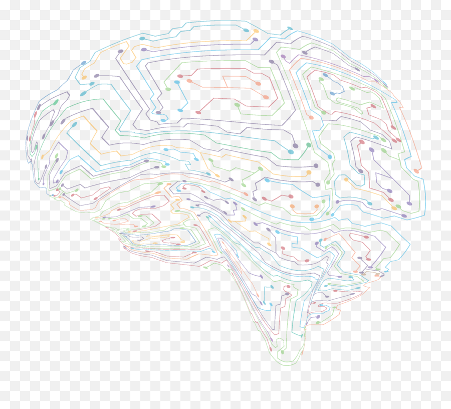 Frontiers In Neural Circuits - Sketch Png,Circuitry Png