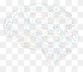 Frontiers In Neural Circuits - Sketch png