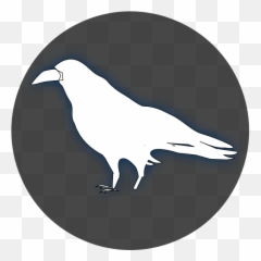 Raven Black Clip Art - Crow Clip Art Public Domain Transparent White Raven Clipart Png,Crow Transparent