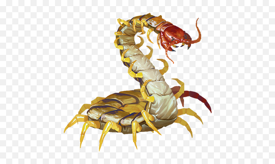 Giant Centipede - Monsters Archives Of Nethys Pathfinder Giant Whiptail Centipede Pathfinder Png,Centipede Png