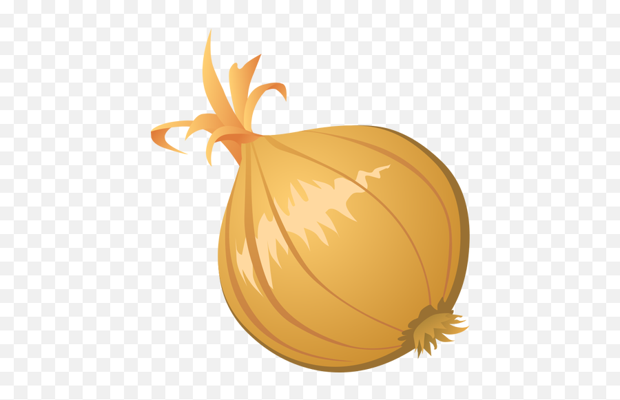 Onion Drawing - Onion Png Clipart,Onion Transparent Background