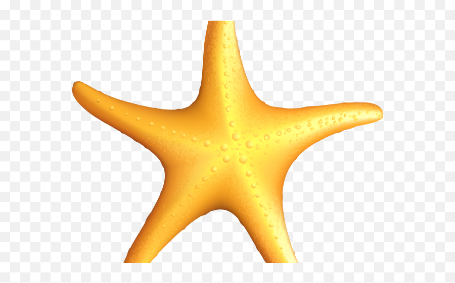 Cute Star Png - Étoile De Mer Png,Star Clipart Transparent Background