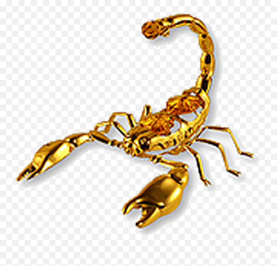 Scorpion Amulet Talisman Zodiac - Scorpio Transparent Png,Scorpion Png