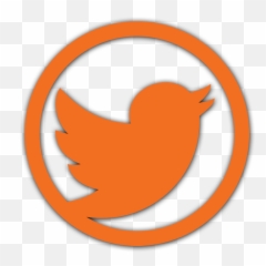 Download Twiiter Orange Logo Png Images - Twitter Polk Bros Park
