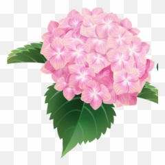 Hydrangea Flower Png Transparent Image - Pink Hydrangea Flower Png,Hydrangea Png