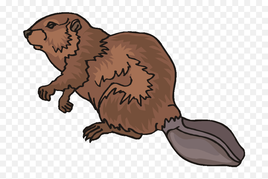 Top 80 Beaver Clip Art - Beaver Clipart Png Download Beaver Fur Trade Clipart,Beaver Png