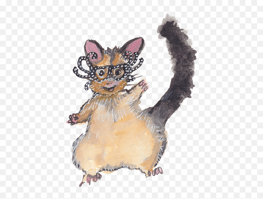 Download Possum Wearing Dame Edna Glasses - Kitten Png Image Kitten,Possum Png