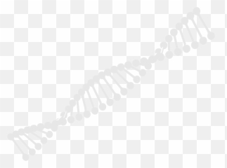 Lab22 - Dnastrand Lab 22 Dot Png,Dna Strand Png