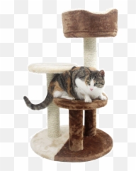 Luxurious Three - Layer Cat Climbing Frame 80031 Comfortable Cat Tree Png,Scratch Cat Png