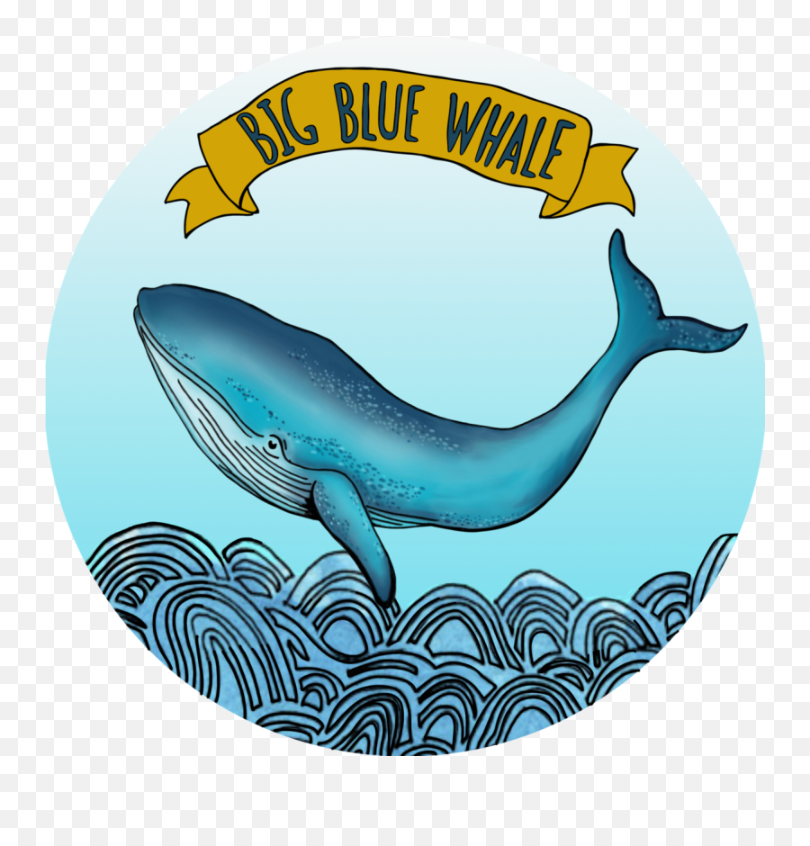 Shop Big Blue Whale U0026 - Darling Harbour Png,Blue Whale Png