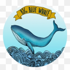 Shop Big Blue Whale U0026 - Darling Harbour Png,Blue Whale Png