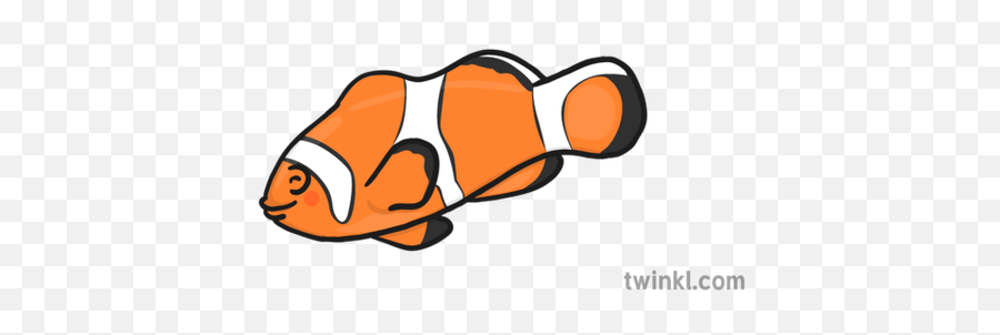 Clown Fish New Copy Illustration - Twinkl Banana Illustration Black And White Png,Clownfish Png