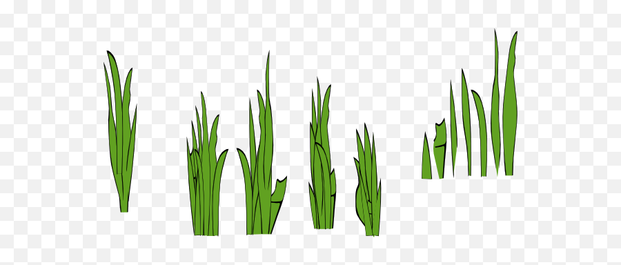 Grass Blades And Clumps Clip Art - Vector Clip Blade Of Grass Cartoon Png,Grass Transparent