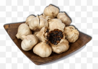 Black Garlic - History Elephant Garlic Png,Garlic Png