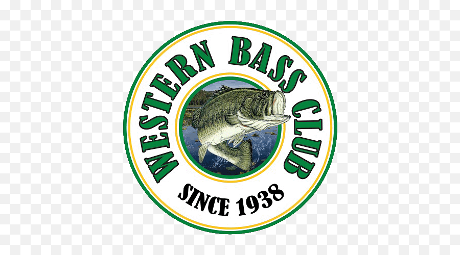 Western Bass Club - Largemouth Bass Png,Bass Fish Logo