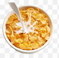 Download Hd Cereal And Milk Png - Bowl Of Cereal Png,Cereal Bowl Png