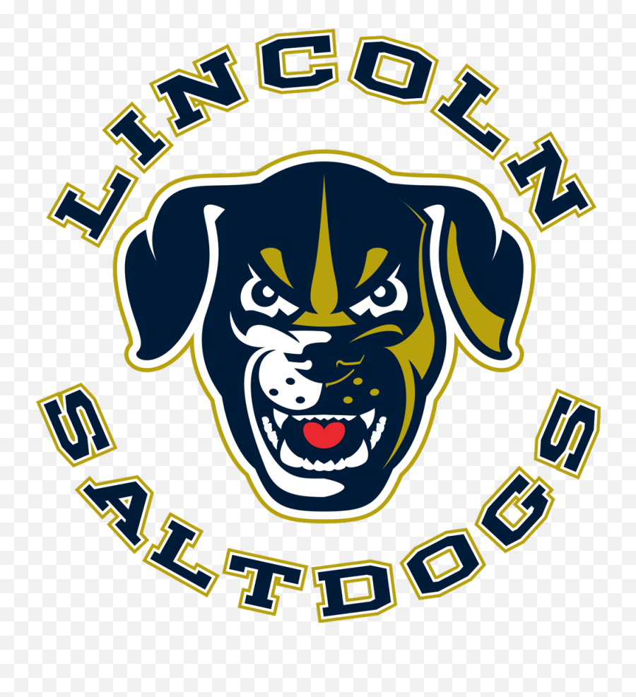 Lincoln Saltdogs New Logo - Aradius Group Lincoln Salt Dogs Png,Lincoln Logo Png