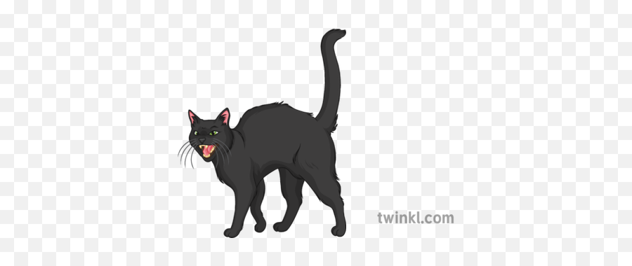 Hissing Black Cat General Animals Pets Halloween Secondary - Halloween Black Cat Hissing Png,Halloween Cat Png