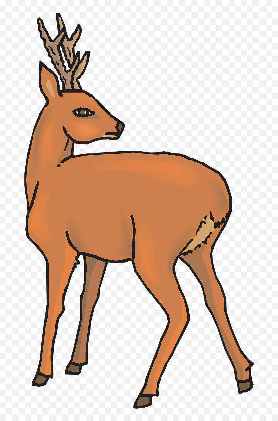 Download Free Photo Of Deerdoefawnwildlifemammal - From Reindeer Looking Back Clipart Png,Reindeer Antlers Transparent