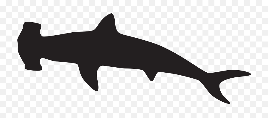Download Silhouette Clipart Shark - Hammerhead Shark Clipart Black And White Png,Shark Clipart Transparent Background