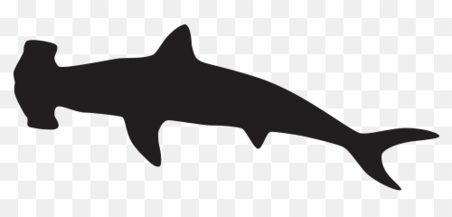 Download Silhouette Clipart Shark - Hammerhead Black And White png