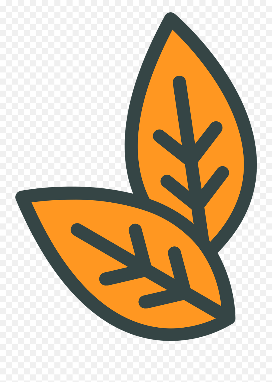 Leaves Plant Tobacco - Free Vector Graphic On Pixabay Tobacco Flat Icon Png,Cigarette Icon