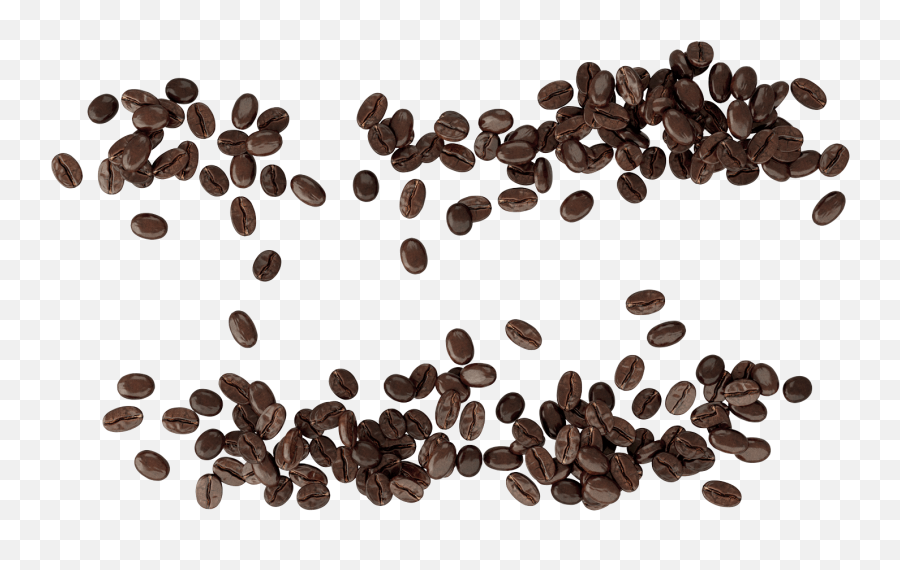 Starbucks Espresso Roast - Language Png,Coffee Bean Icon Png