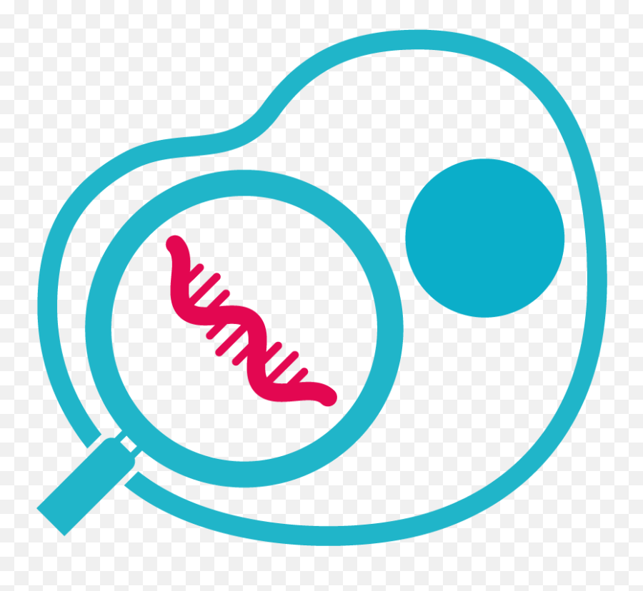 Single Cell Sequencing Services Macrogen Europe - Single Cell Sequencing Icon Png,Related Icon