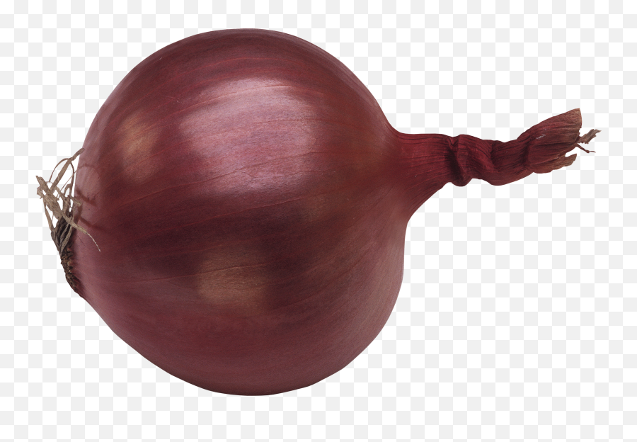 Red Onion Transparent Png