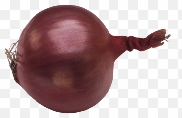 Red Onion Transparent Png