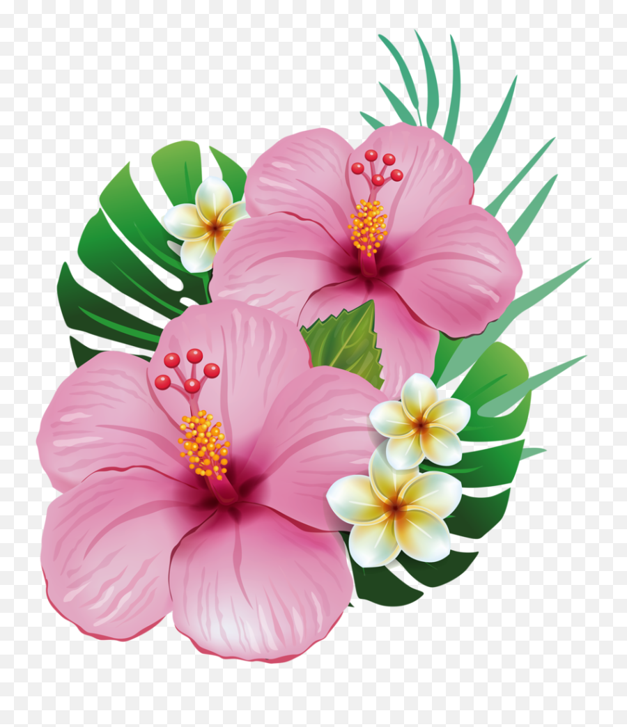 Tropical Flowers Clipart - Moana Flores Png,Hawaiian Flowers Png