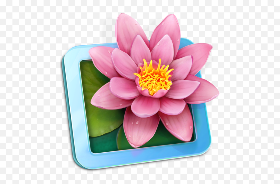 Lilyview Macos Icon Gallery - Macos Png,Lily Icon