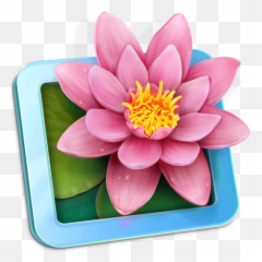 Lilyview Macos Icon Gallery - Macos png