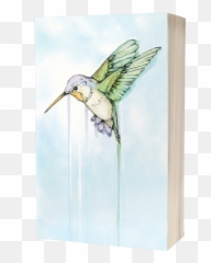 Hummingbird Signed - Jude Angelini Hummingbird Png,Hummingbird Transparent