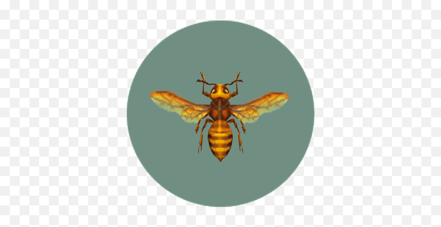Bee Animal Crossing Wiki Fandom - Animal Crossing Bee Png,Bees Png