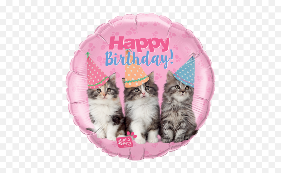 Happy Birthday Pets Foil Kittens Balloon 57623 - Happy Birthday Cat And Balloons Png,Kittens Png