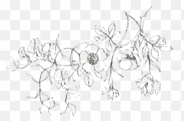 Minimalist Aesthetic Tattoo Png - Wiki Flower