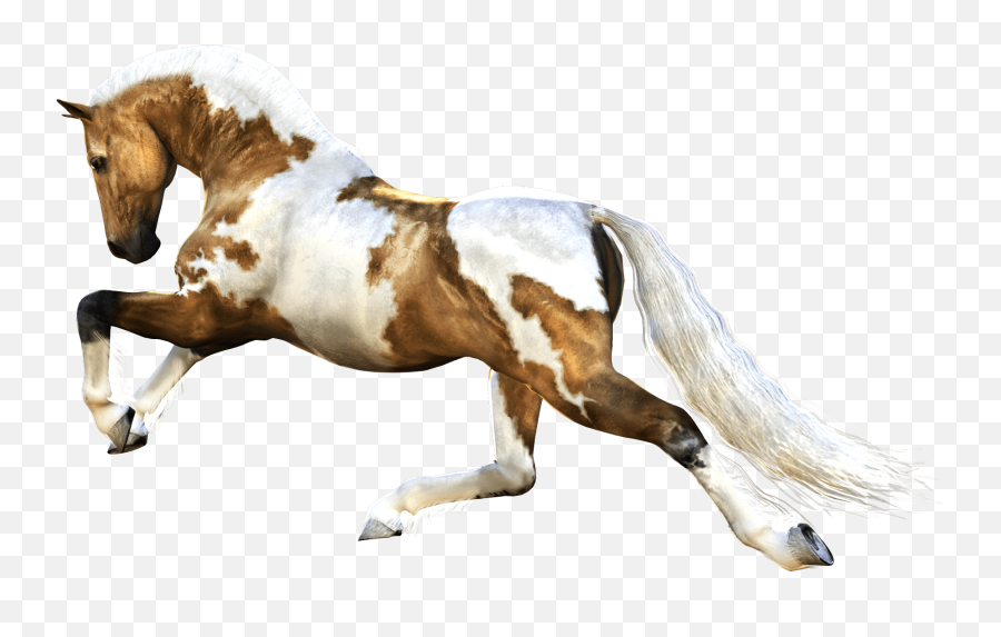 Download Horse Png Image Hq - Horse Running Images Png,Cartoon Horse Png