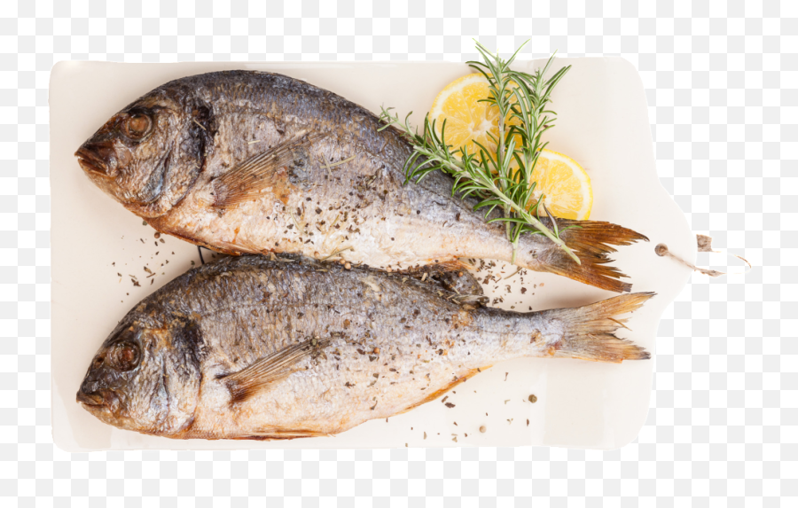 Download Grilled Fish Food Transparent - Transparent Grilled Fish Png,Food Transparent