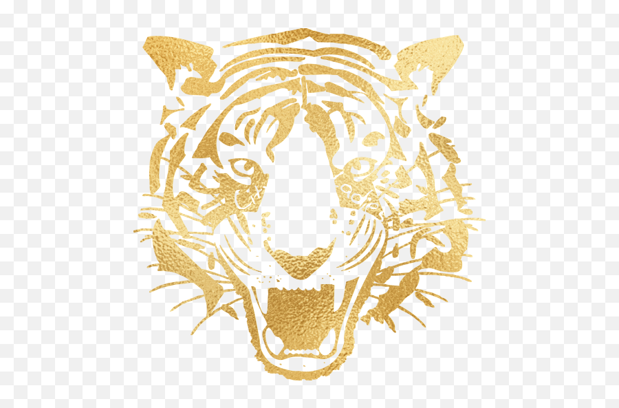 Cropped - Logo Hull City Png,Gold Icon Png