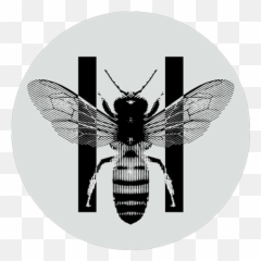 Lil Peep Official Shop - Hyv Shop Png,Lil Peep Logo
