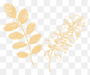Bloom - Motif Png,Leafs Png