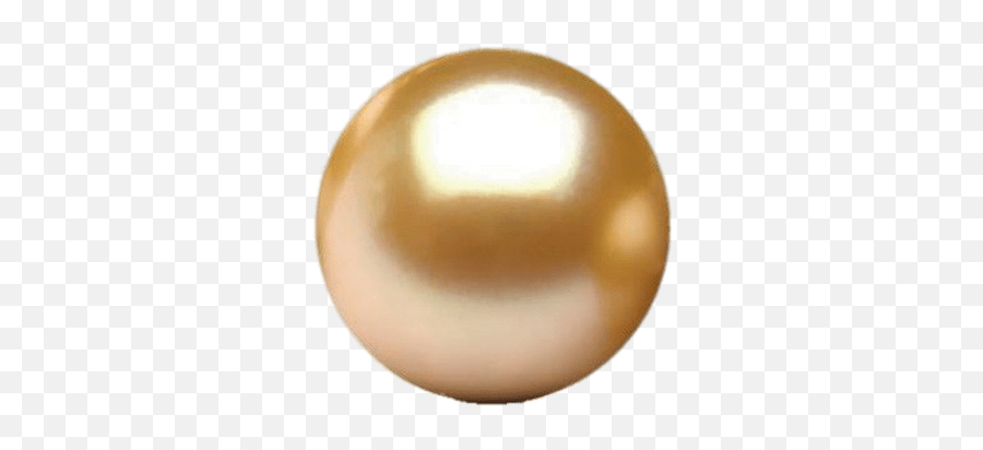 Golden South Sea Pearl Transparent Png - South Sea Pearl Png,Pearls Png