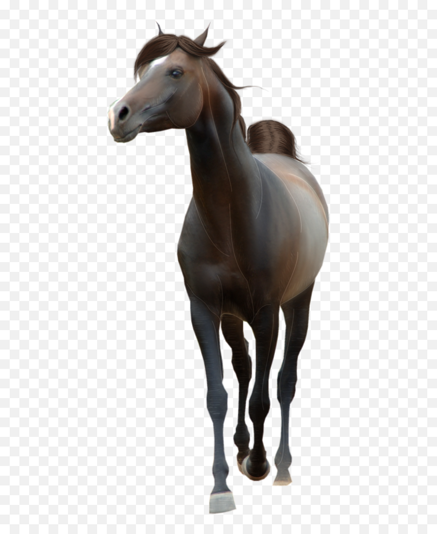 Horse Png Free Image Download 29 Images - Horse,Horse Png