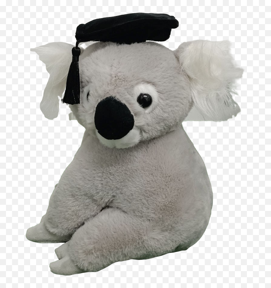 Graduation Koala Bear Plush With Mortarboard - Teddy Bear Png,Koala Bear Png