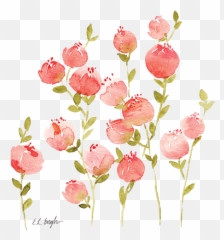 Download Peach Flower Clipart Floral - Coral Flowers png