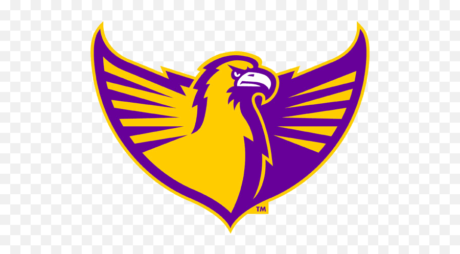 Tennessee Tech Golden Eagles Alternate Logo - Ncaa Division Tennessee Tech Golden Eagles Logo Png,Eagles Logo Transparent