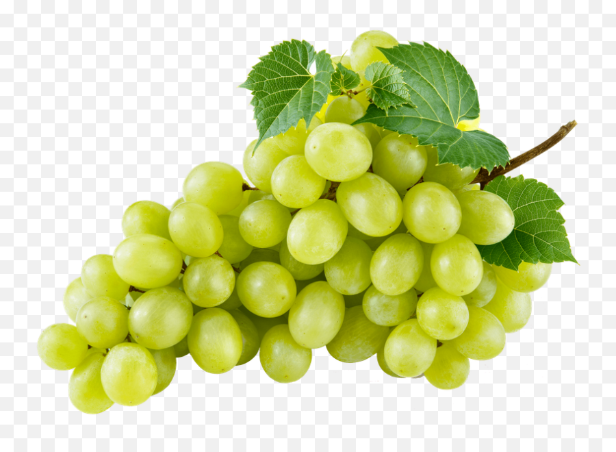 Fruit Vegetable Selection - Green Grape Png,Grapes Transparent Background