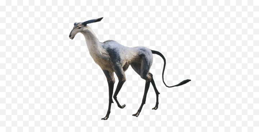 Categoryfinal Fantasy Xiv Enemy Images Final Wiki - Final Fantasy Xiv Antelope Png,Antelope Png